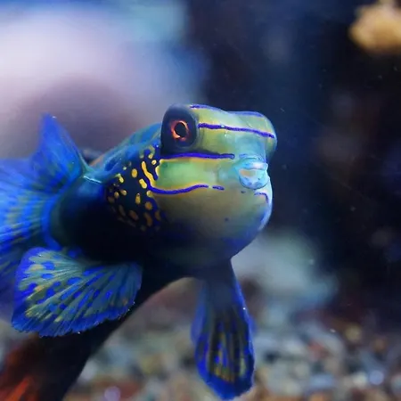 Maison Napoléon Casa vacanze *