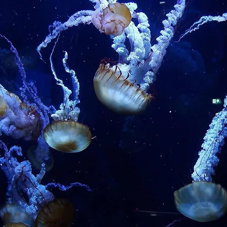 Maison Napoléon Casa vacanze