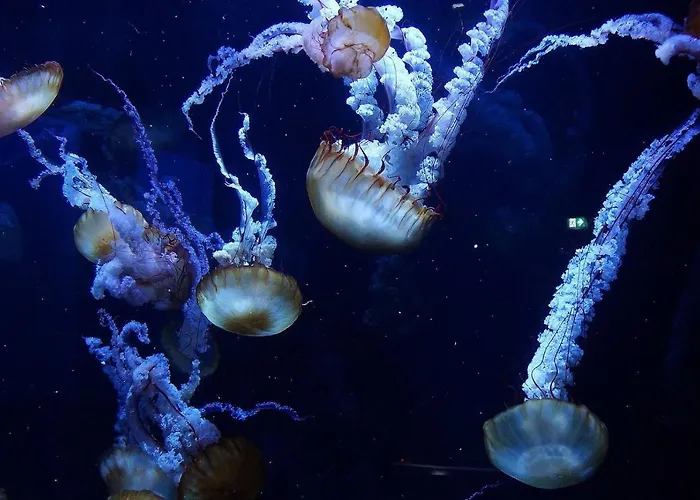 Maison Napoleon Holiday home